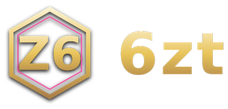 6zt logo